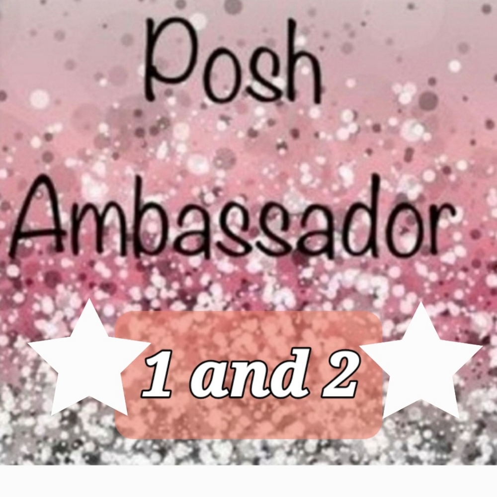 Posh Ambassador II - Picture 2 of 2